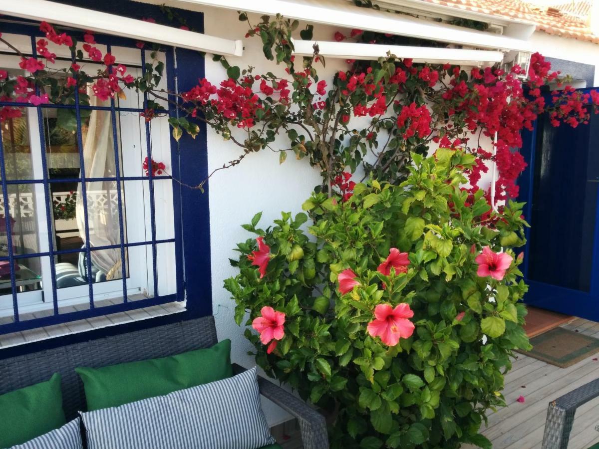 El Vivero Del Mar Menor La Manga del Mar Menor Zewnętrze zdjęcie