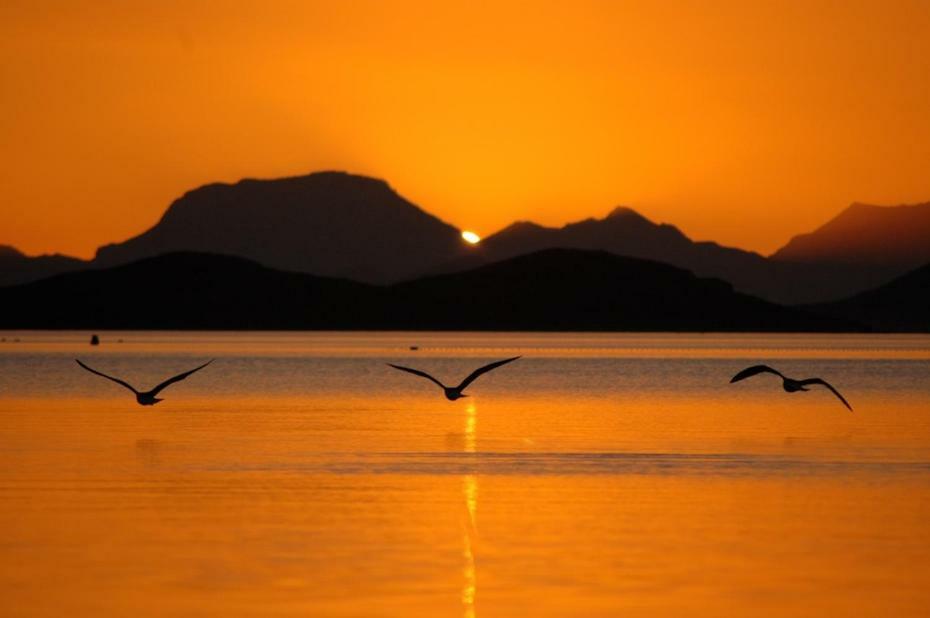El Vivero Del Mar Menor La Manga del Mar Menor Zewnętrze zdjęcie