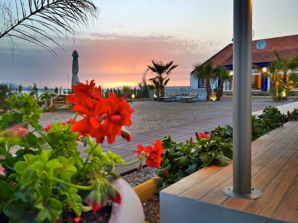 El Vivero Del Mar Menor La Manga del Mar Menor Zewnętrze zdjęcie